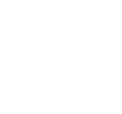 PrimeoWebtech Logo - Zahnrad Transparent